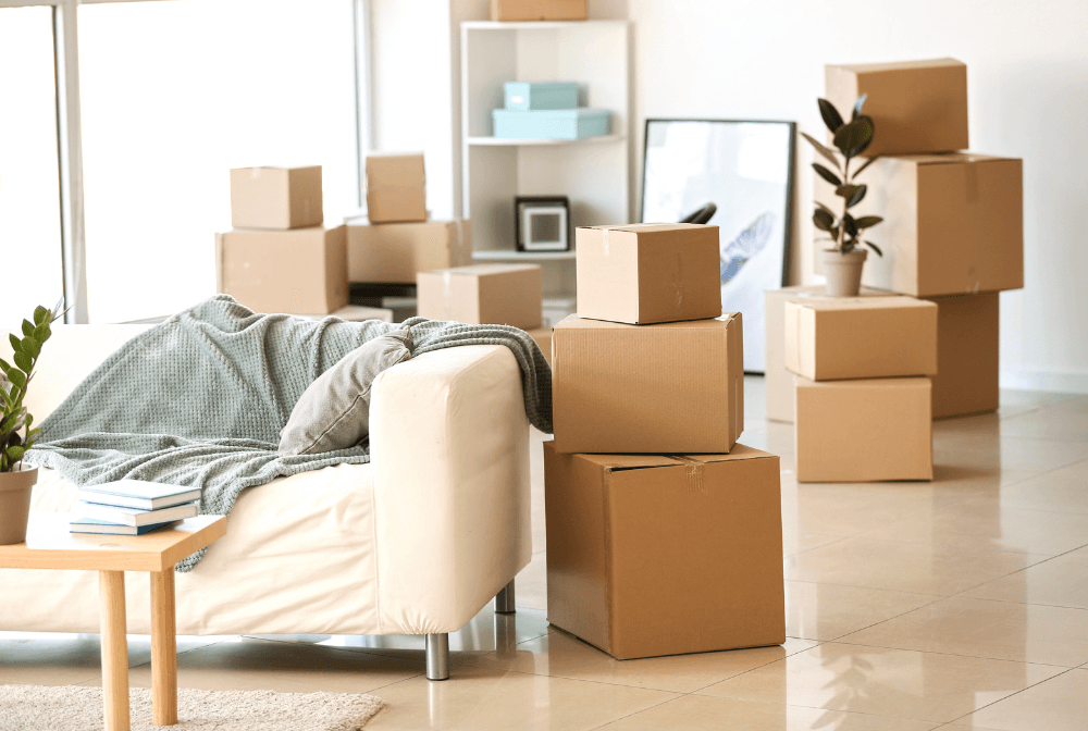 فريق عمل كويت ترانسبورت